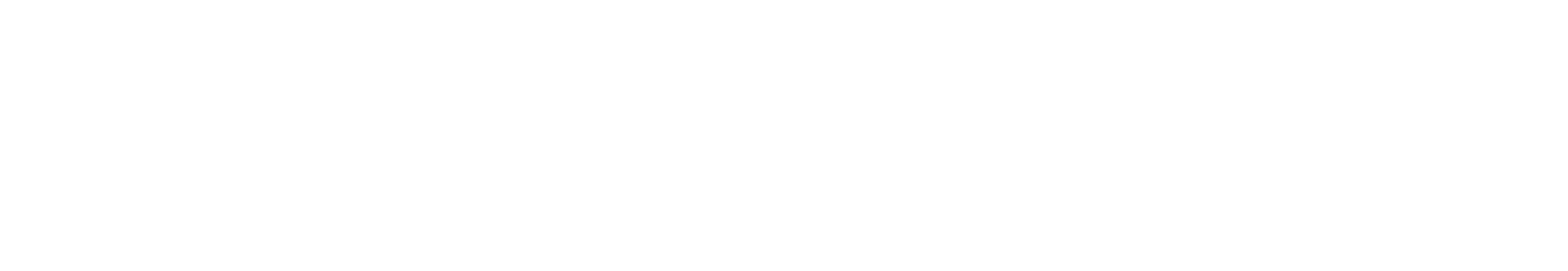 СОЛЕМ